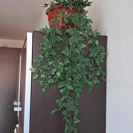 Turistico Acquamarina *