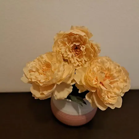 Turistico Acquamarina Специя