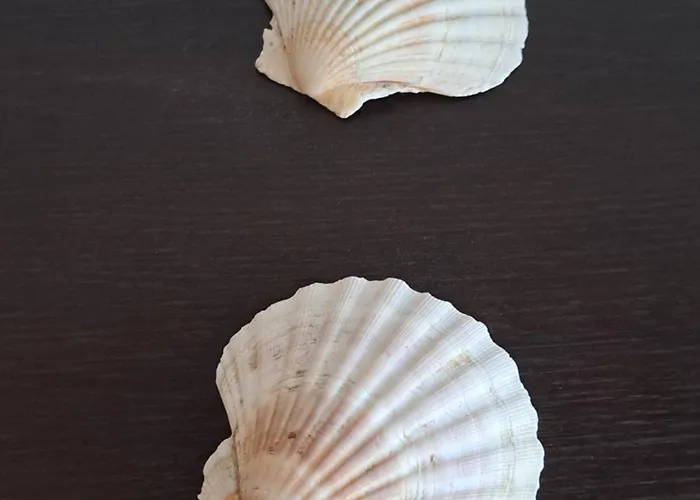 Turistico Acquamarina *